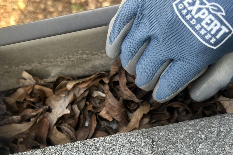 Gutter Cleaning Georgetown KY