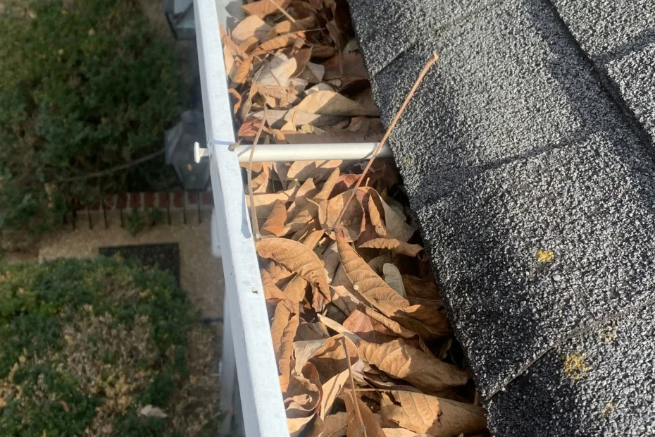 Gutter Cleaning Georgetown KY